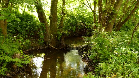 Landscape watercourse mood photo