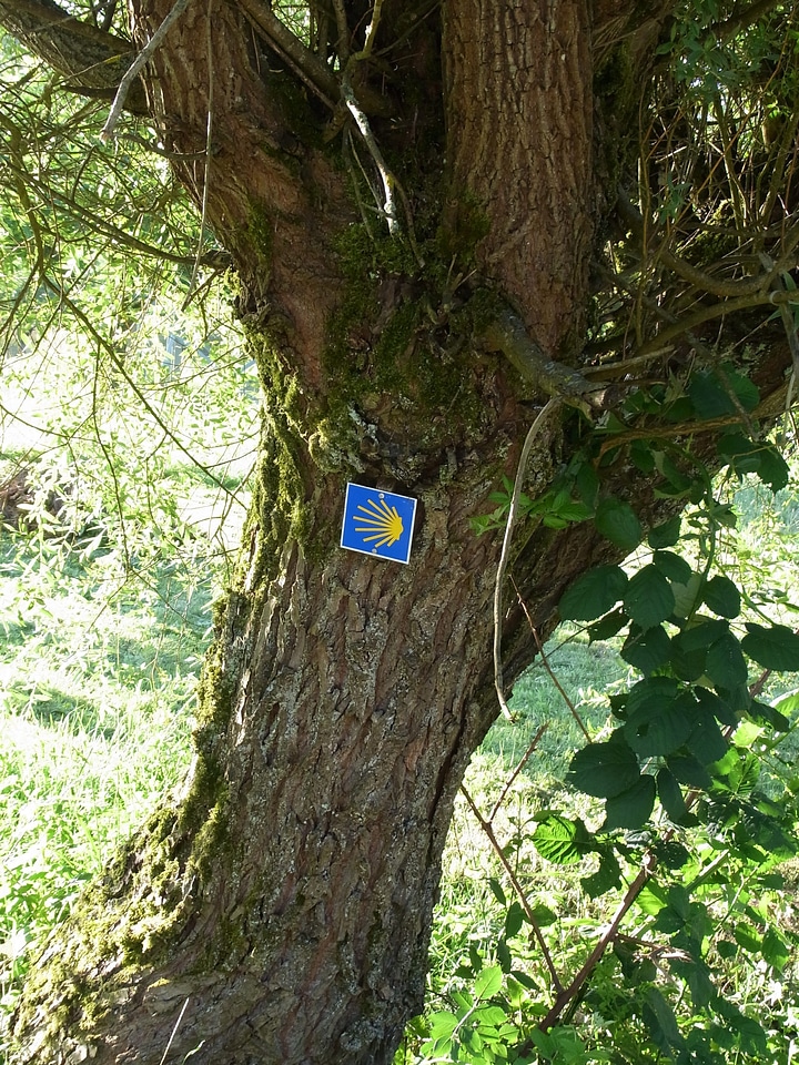 Away target hiking