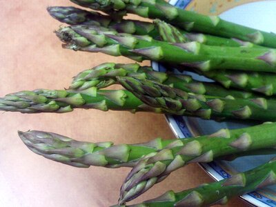 Food power vegetable