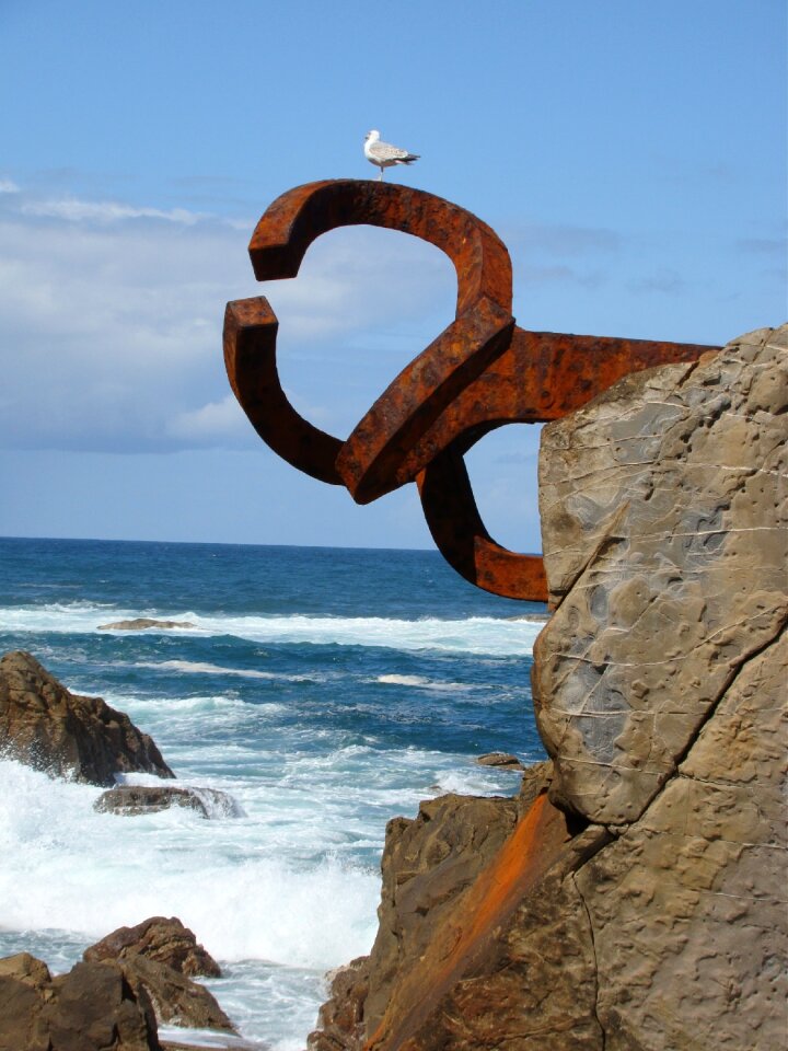 Art sea paloma