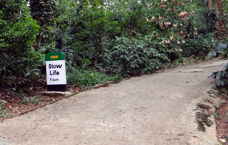 Amusing kodagu karnataka