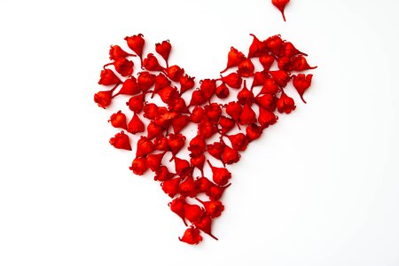 Nature love valentine's day