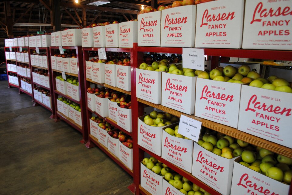 Food apple barn california