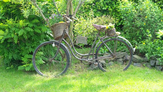 Bike nature rest