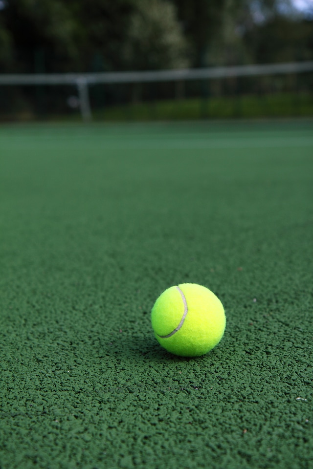 Ball court exercise