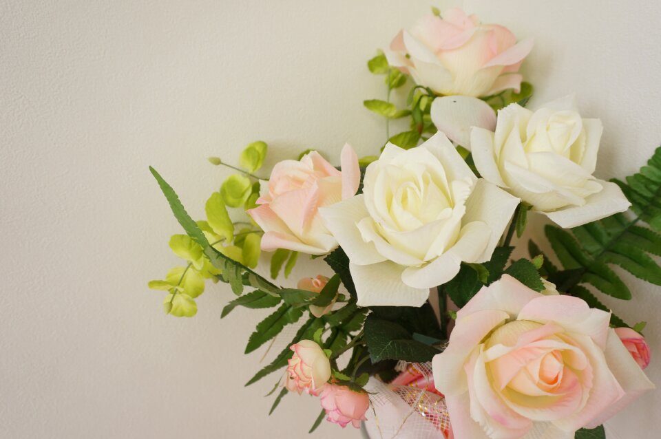 Rosaceae pink white