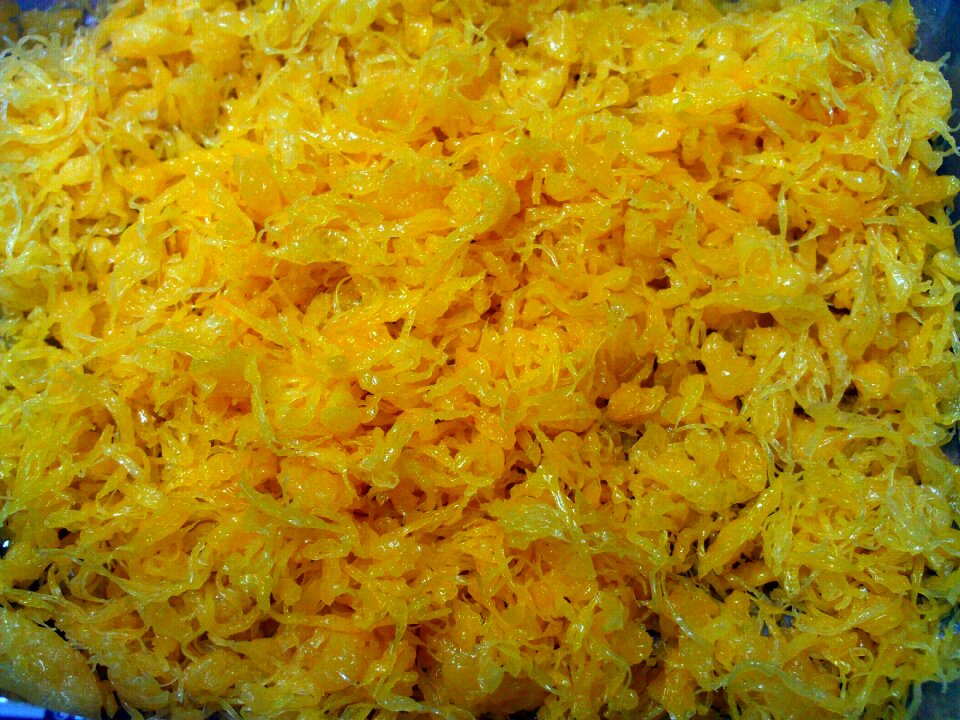 Yarn egg power food