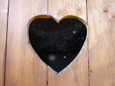 Toilet door cobweb love