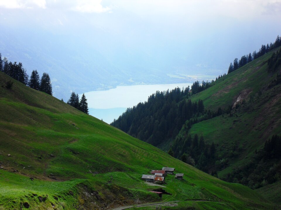 Alpine mountains meadow