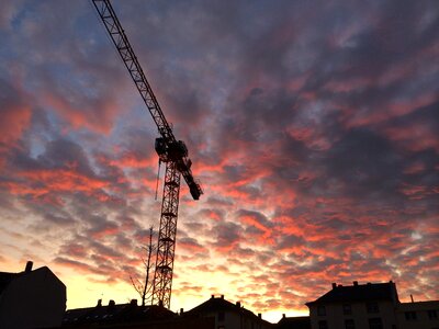 Crane backlighting dramatic sky