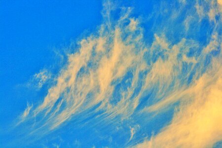 White rhin sky photo