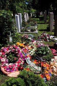 Died buried graves