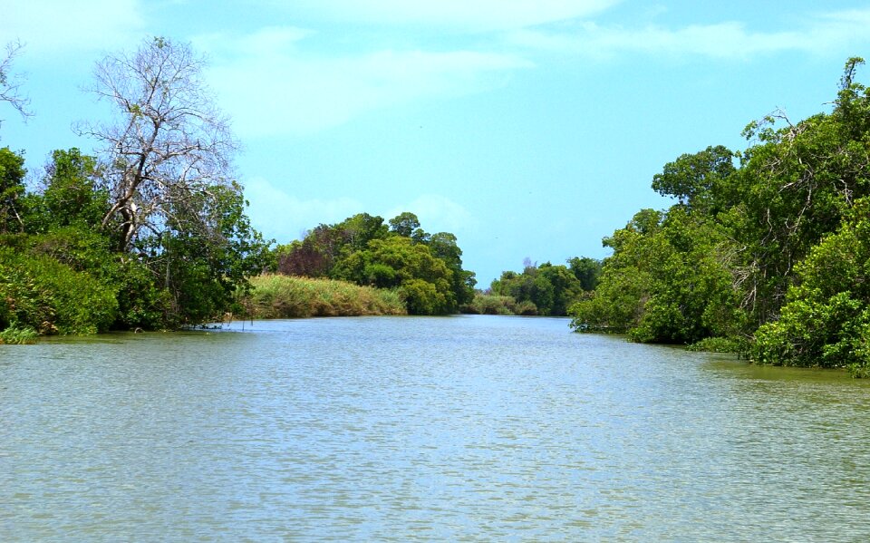 River water nature