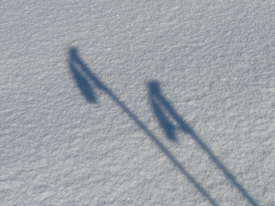 Ski pole hispanic ski