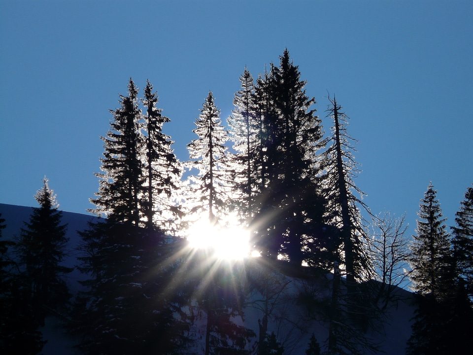 Winter snow cold