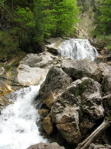Water germany nature