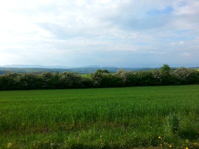 Wide nature spring