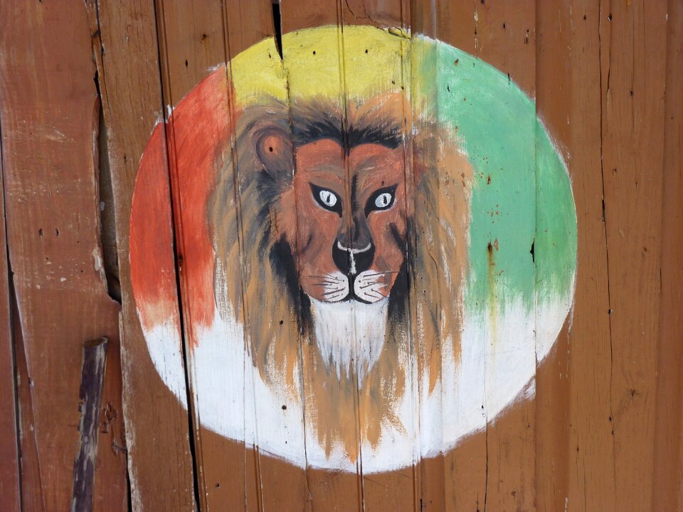 Jamaica painting lion