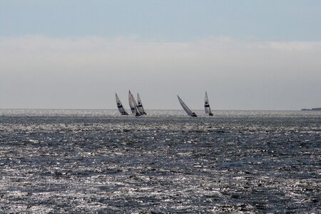Tejo sailboats portugal