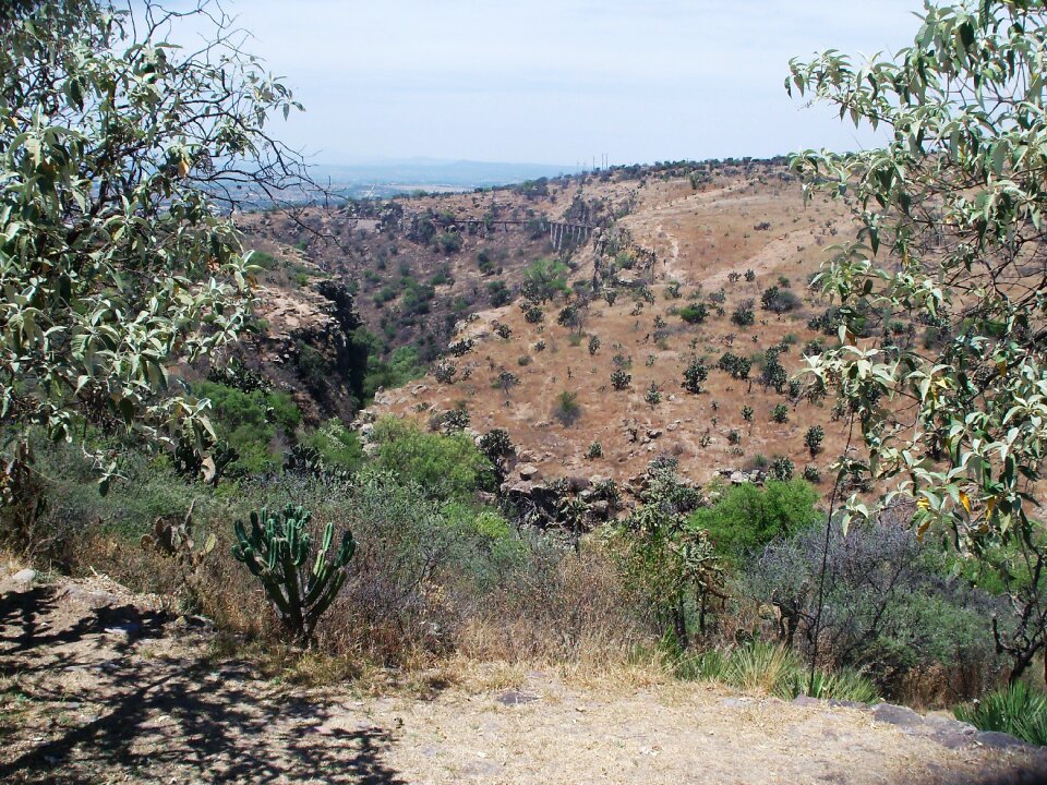 Wild nature arid mexico