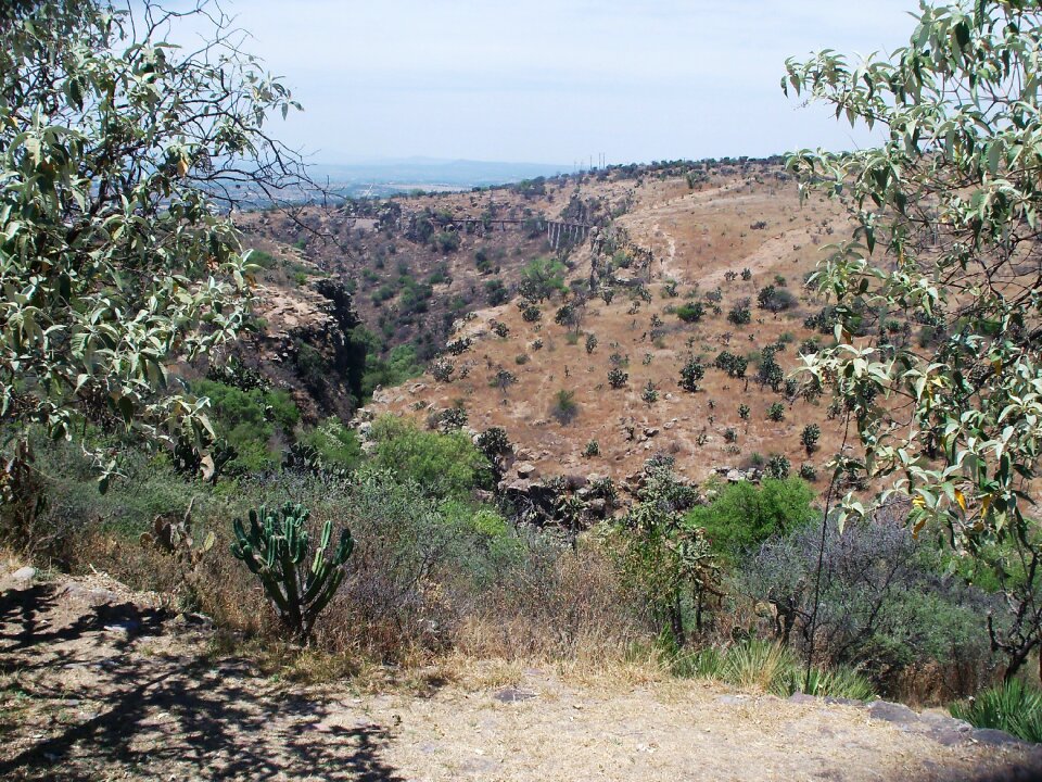 Wild nature arid mexico photo