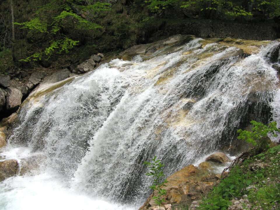 Water germany nature