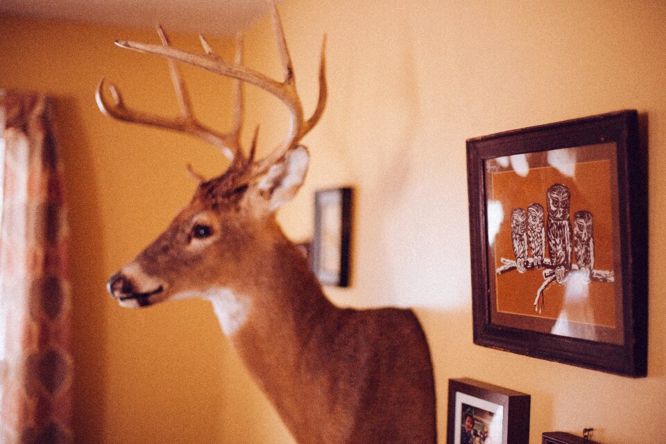 Decoration stag old