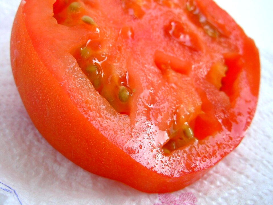 Nature plant vegetables