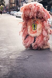 Urban fur street