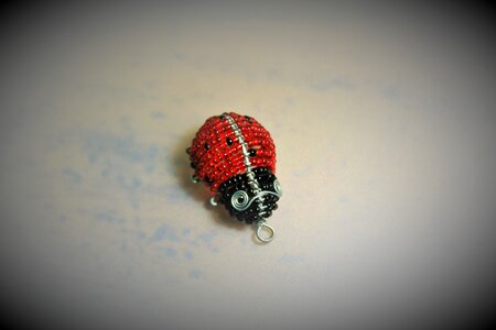 Beetle red black