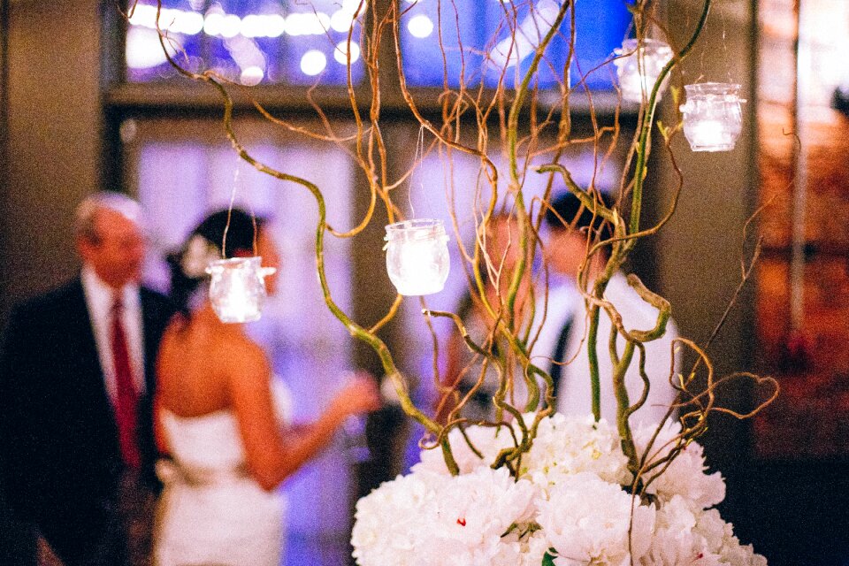 Decoration branches twigs