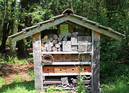 Insect bee hotel wasps photo