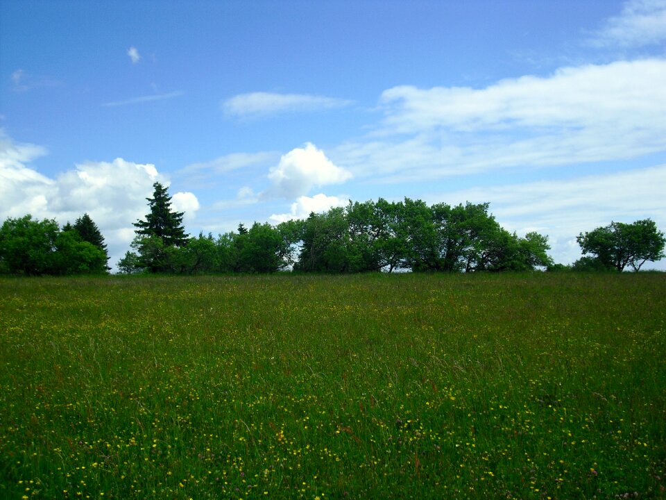 Clouds cloudiness meadow