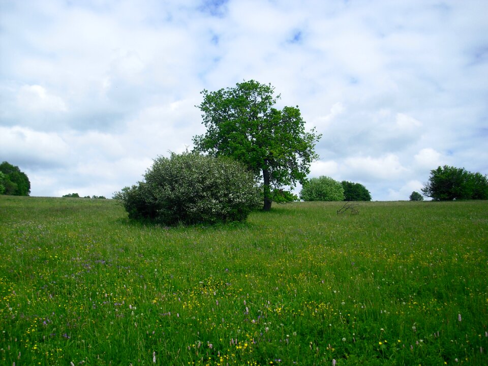 Clouds cloudiness meadow