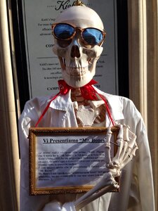 Skull showcase skeleton photo