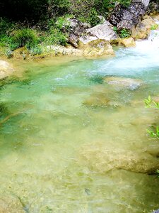 River water nature photo