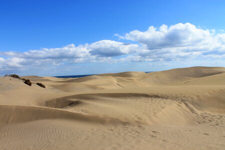 Dunes desert sand dunes