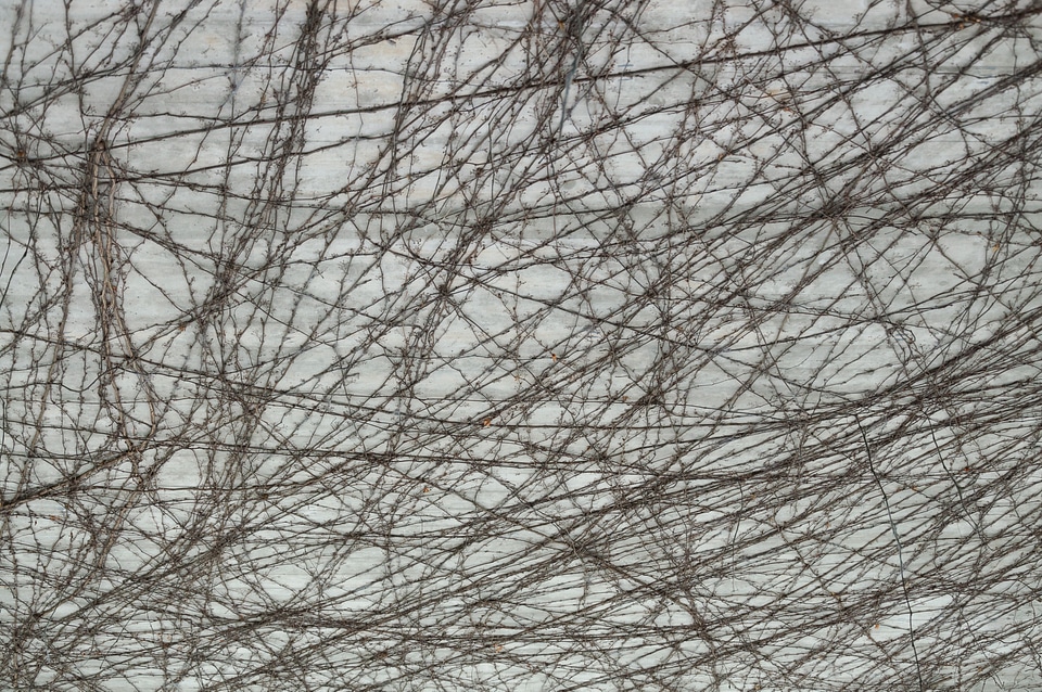 Concrete entwine plant