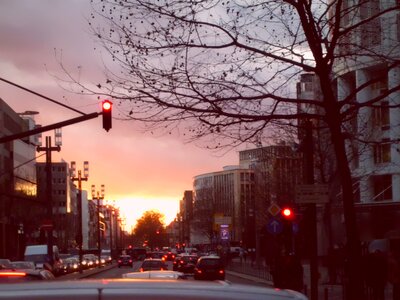 Street cars photo