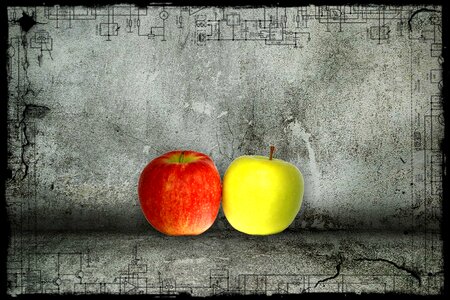 Fresh healthy fruits