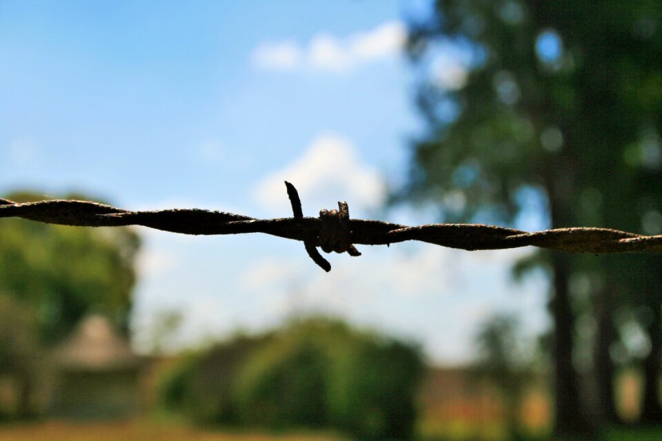 Twisted barbed sharp