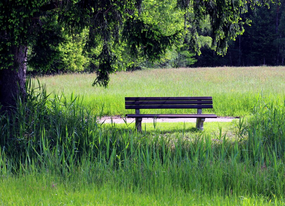 Seat rest meadow