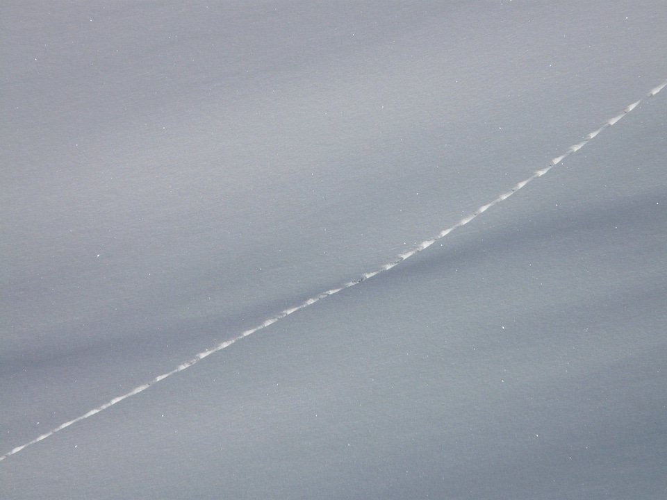 Snow deep snow powder snow
