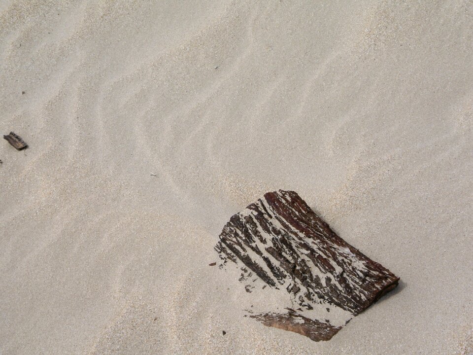 Sand ripples wind pattern texture