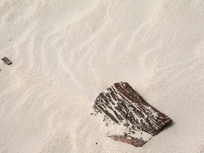 Sand ripples wind pattern texture photo