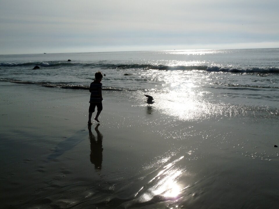 Seaside sunset ocean