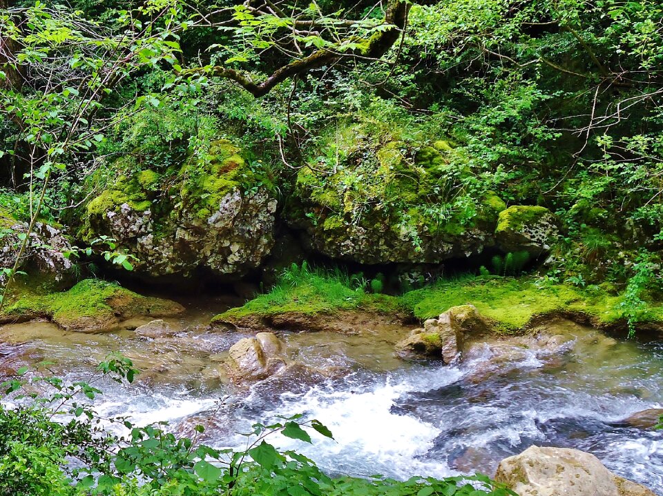 River water nature