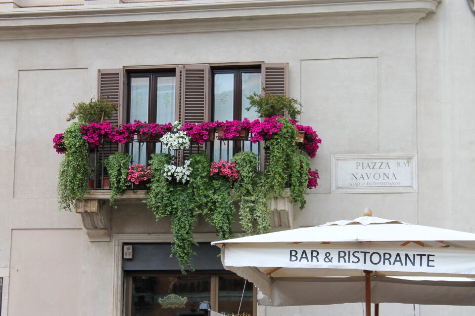 Rome italy piazza navona
