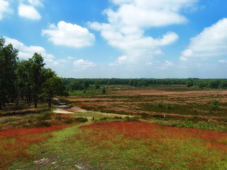 Nature outside sky