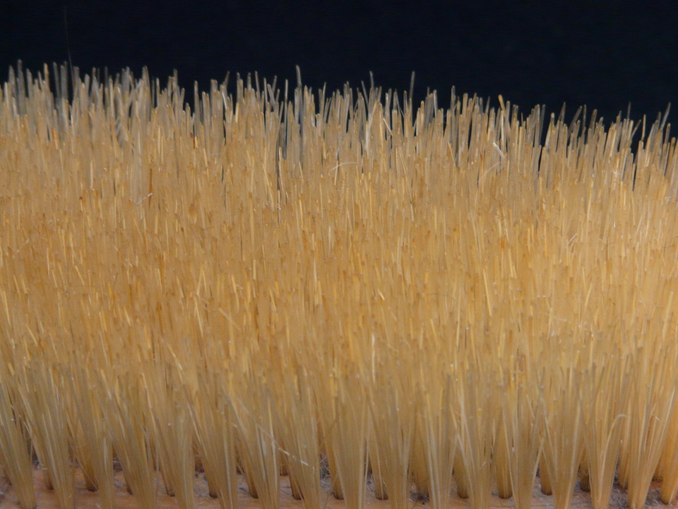 Clean brush head close up